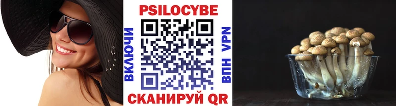 OMG зеркало Аша Псилоцибиновые грибы GOLDEN TEACHER