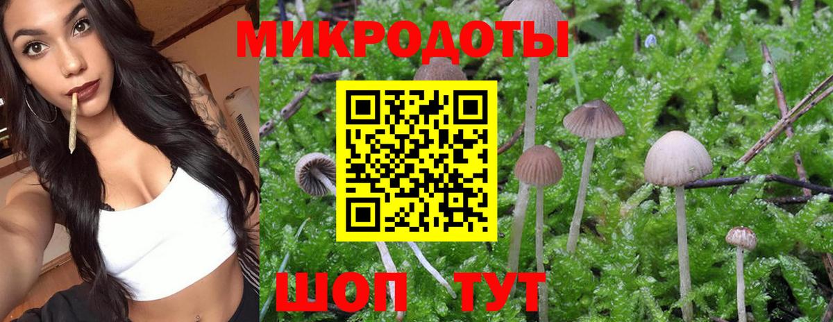 Галлюциногенные грибы Psilocybine cubensis Аша