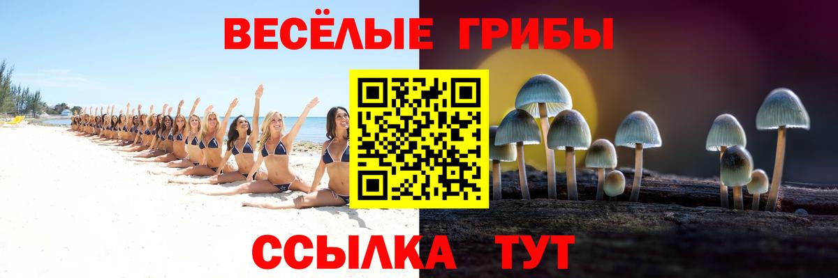 закладки  Галлюциногенные грибы MAGIC MUSHROOMS  Вход с VPN  Аша  Псилоцибиновые грибы прущие грибы 