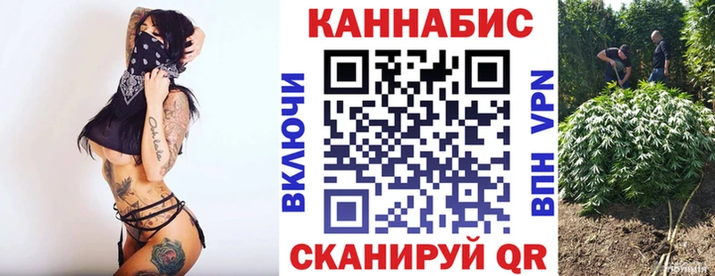 Каннабис планчик Аша